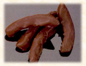 Candied Orange Peel